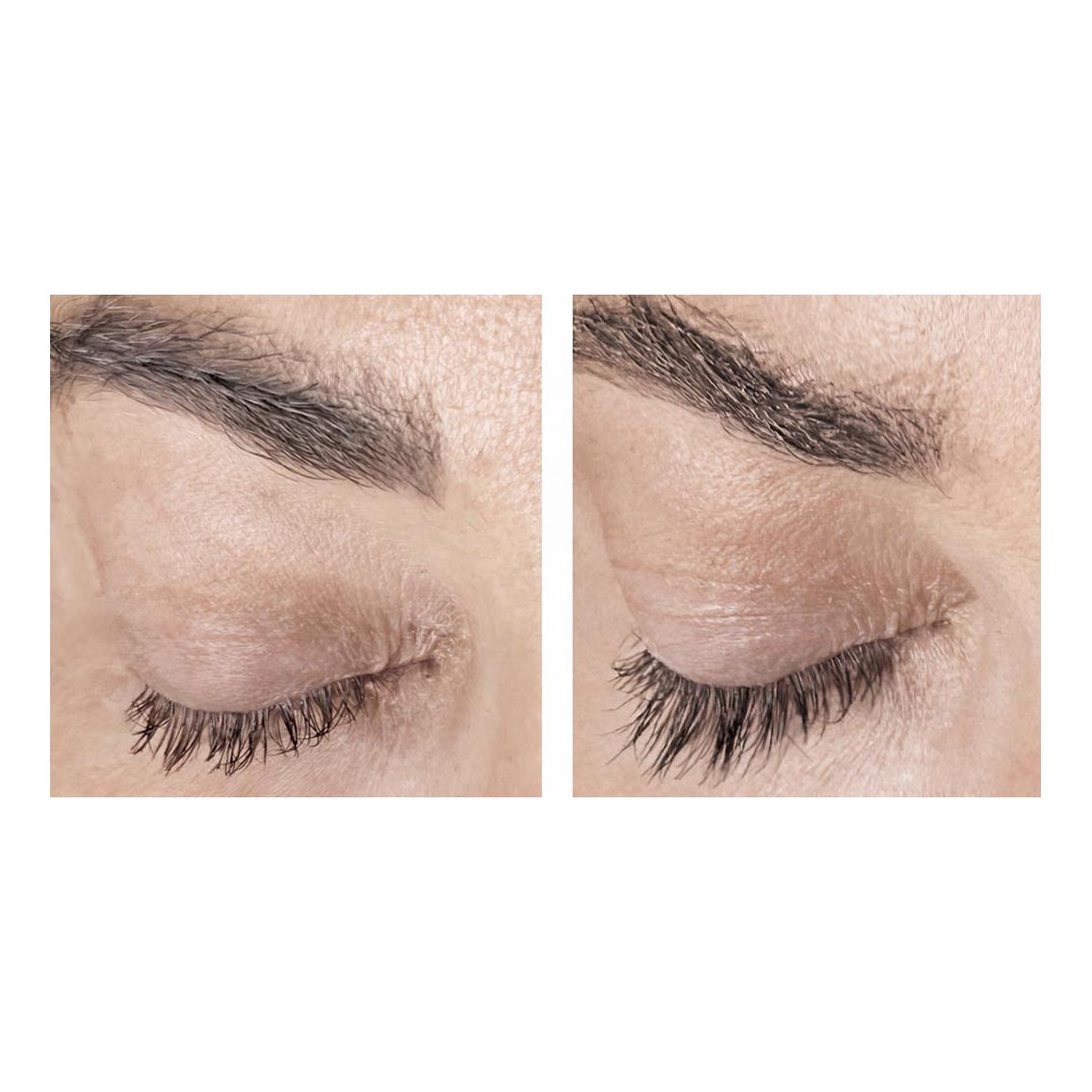 Plume Elite — Lauren, 8 weeks. Clinical lash enhancement, without prostaglandins.