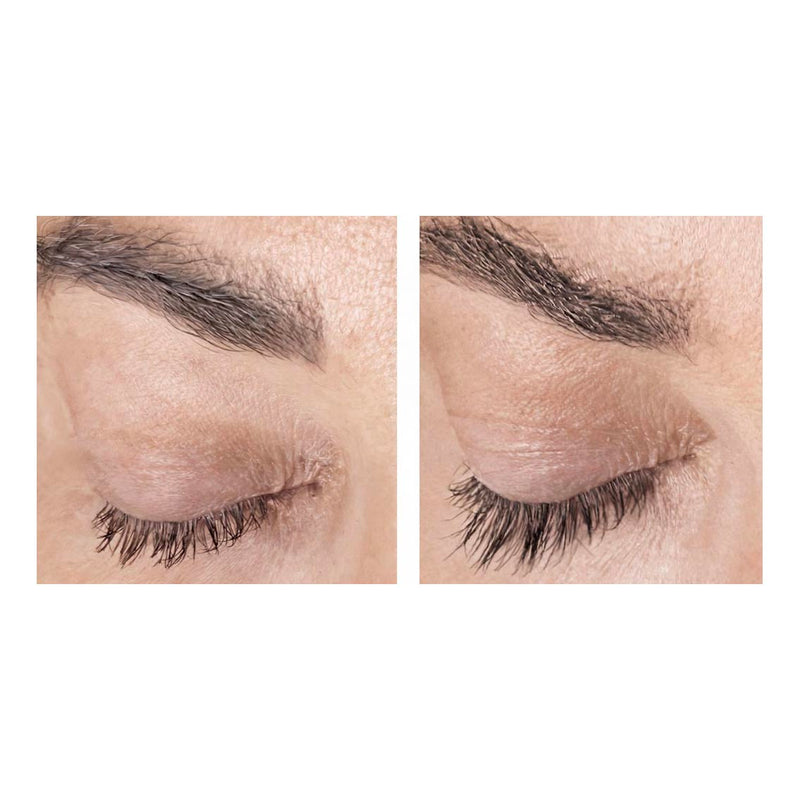 Lash