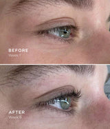 Before and after comparison of an eye area showing eyebrow and eyelash results, labeled 'BEFORE Week 1' on the top panel and 'AFTER Week 6' on the bottom panel.